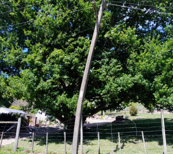 Before Photo 07 13 24 314 20231014 140226
