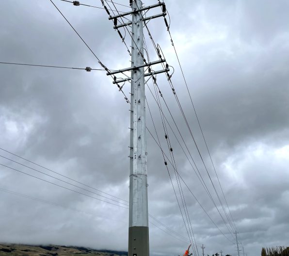 IMG 2975 cropped 2