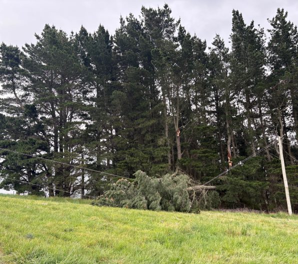 8041f8d8 56b0 43e9 a924 9224a0be5eb8