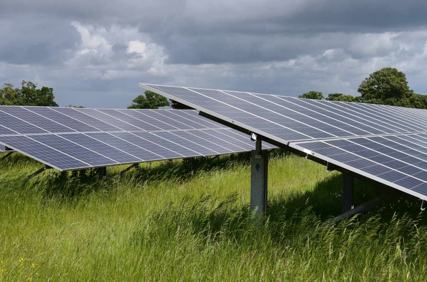 Solar Farm Photo Green Grids Website